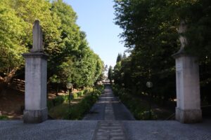 Vale de Cambra