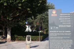 Vale de Cambra