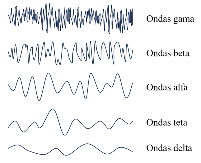 Os diferentes tipos de ondas cerebrais (gama, beta, alfa, teta e gama)