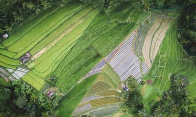 Fonte: Unsplash