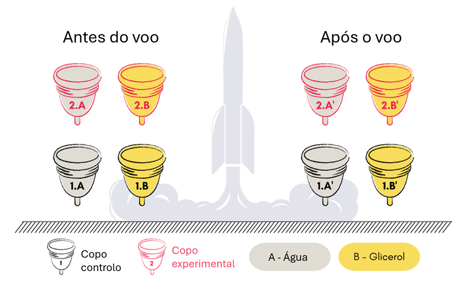 Representação da experiência realizada na missão AstroCup. Imagem traduzida do inglês. Créditos da imagem original: Lígia F. Coelho et al. “One Giant Leap for Womankind: First Menstrual Cups Tested in Space Flight Conditions” (2025).