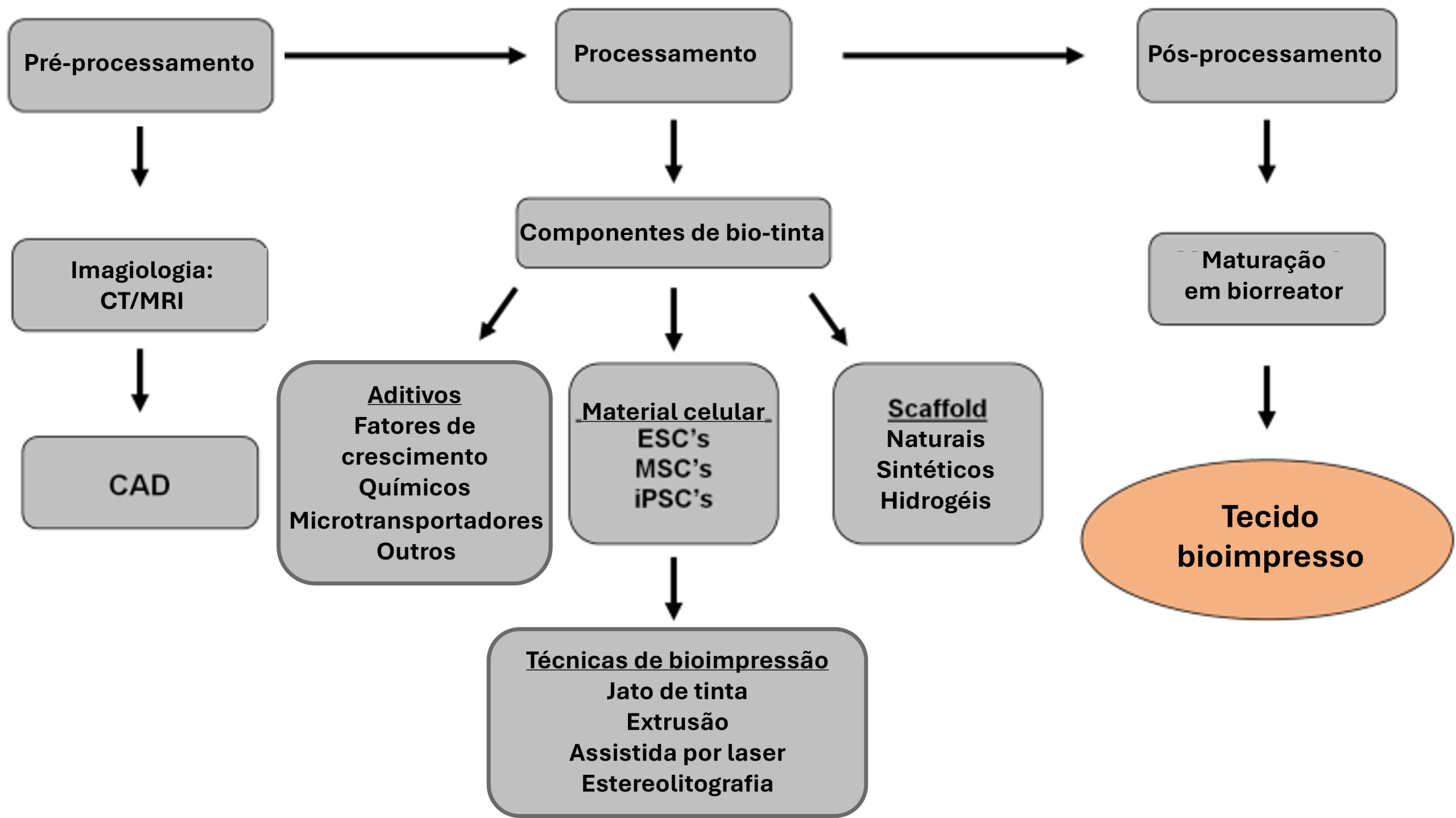Visão geral esquemática da bioimpressão