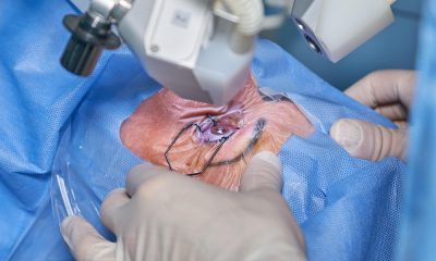 Crédito: Newarta, Pixabay